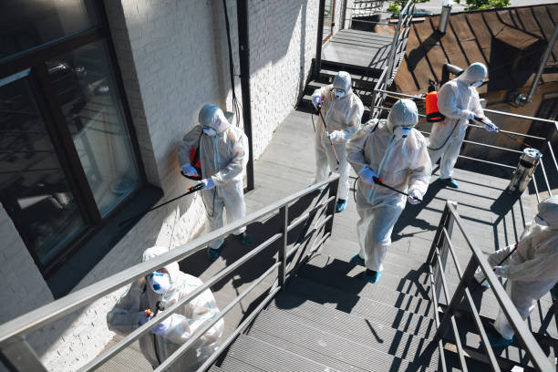 Best Commercial Mold Inspection  in Sloan, IA