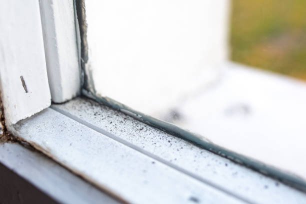Best Real Estate Mold Inspection  in Sloan, IA