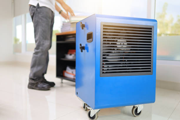 Best Mold-Related Health Consultation  in Sloan, IA